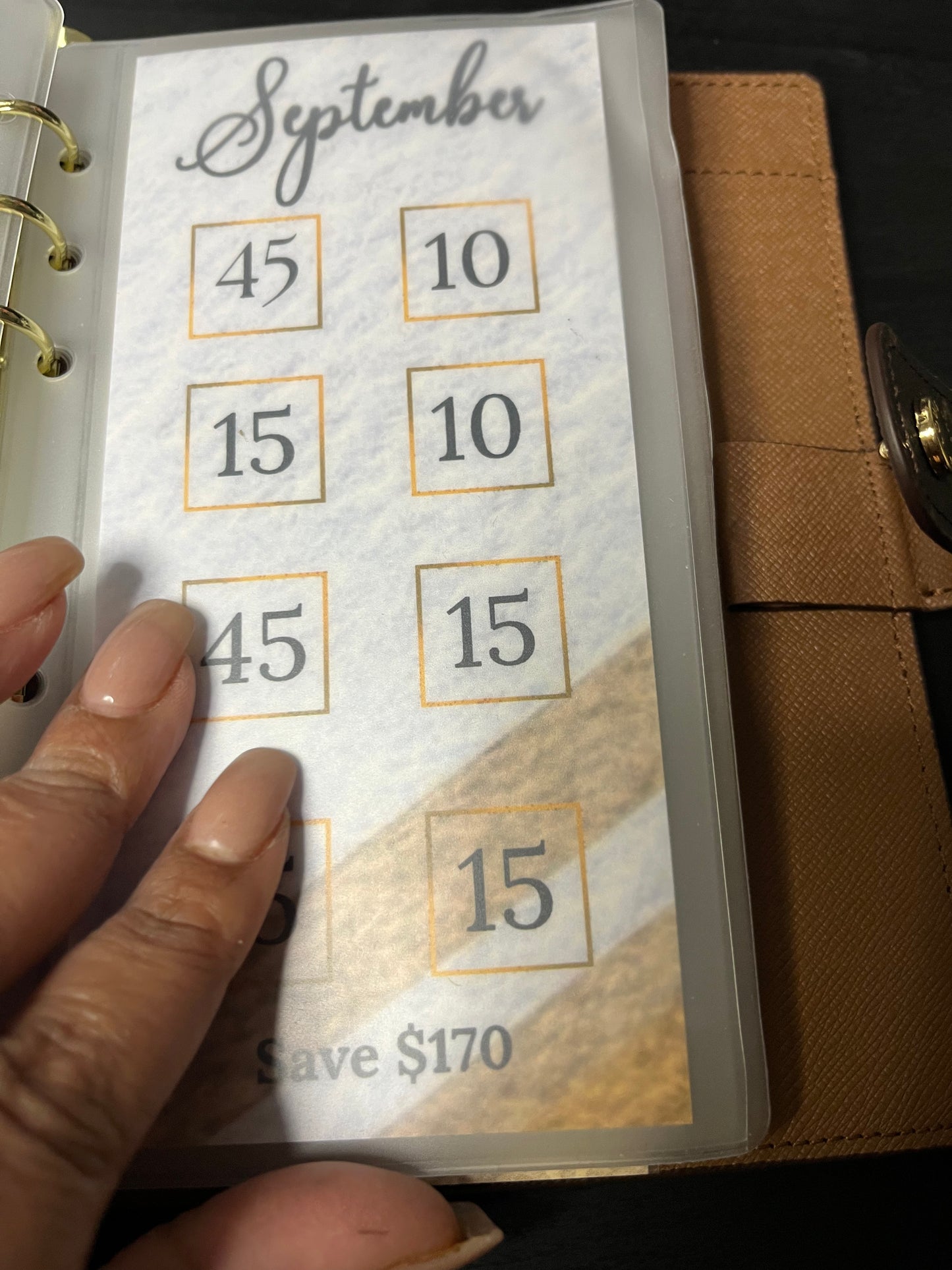 Oh Louis – $1.5K Monthly Savings Challenge Tracker
