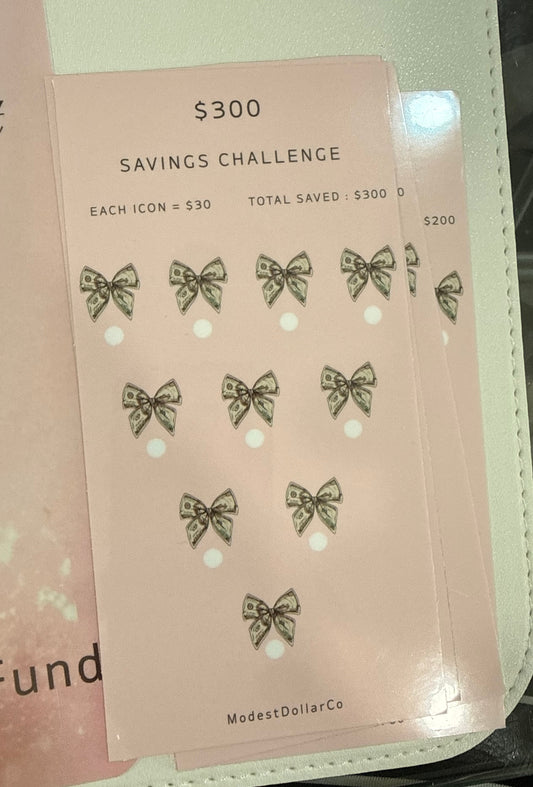 The Safety Net Challenge | $1,000 Emergency Fund Savings Challenge