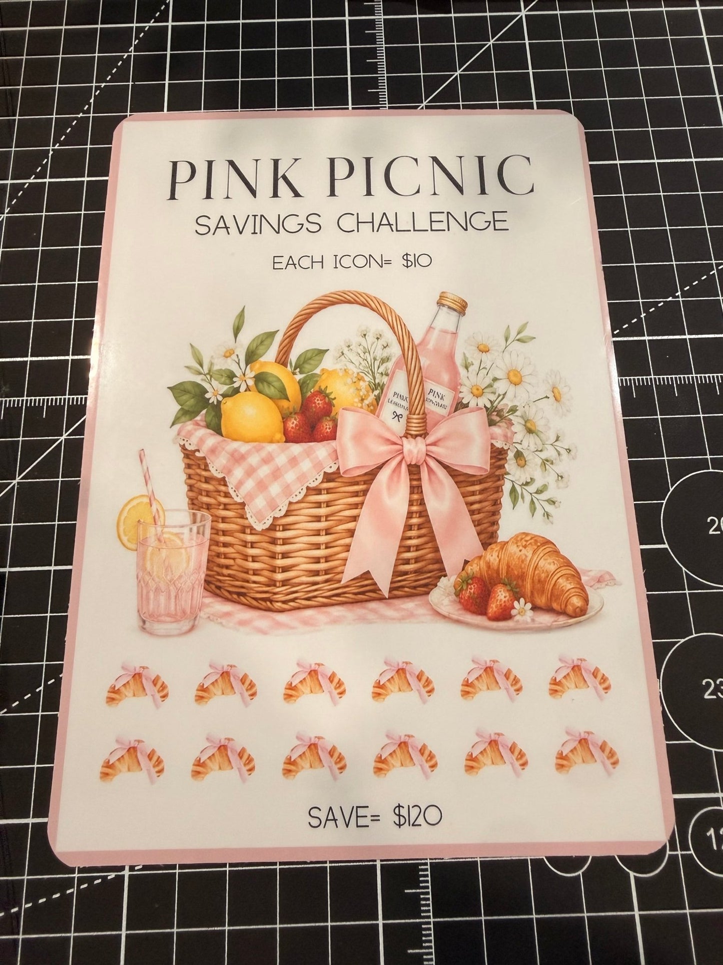 Pink Picnic Monthly Budget Bundle | Limited Edition - ModestDollarCo