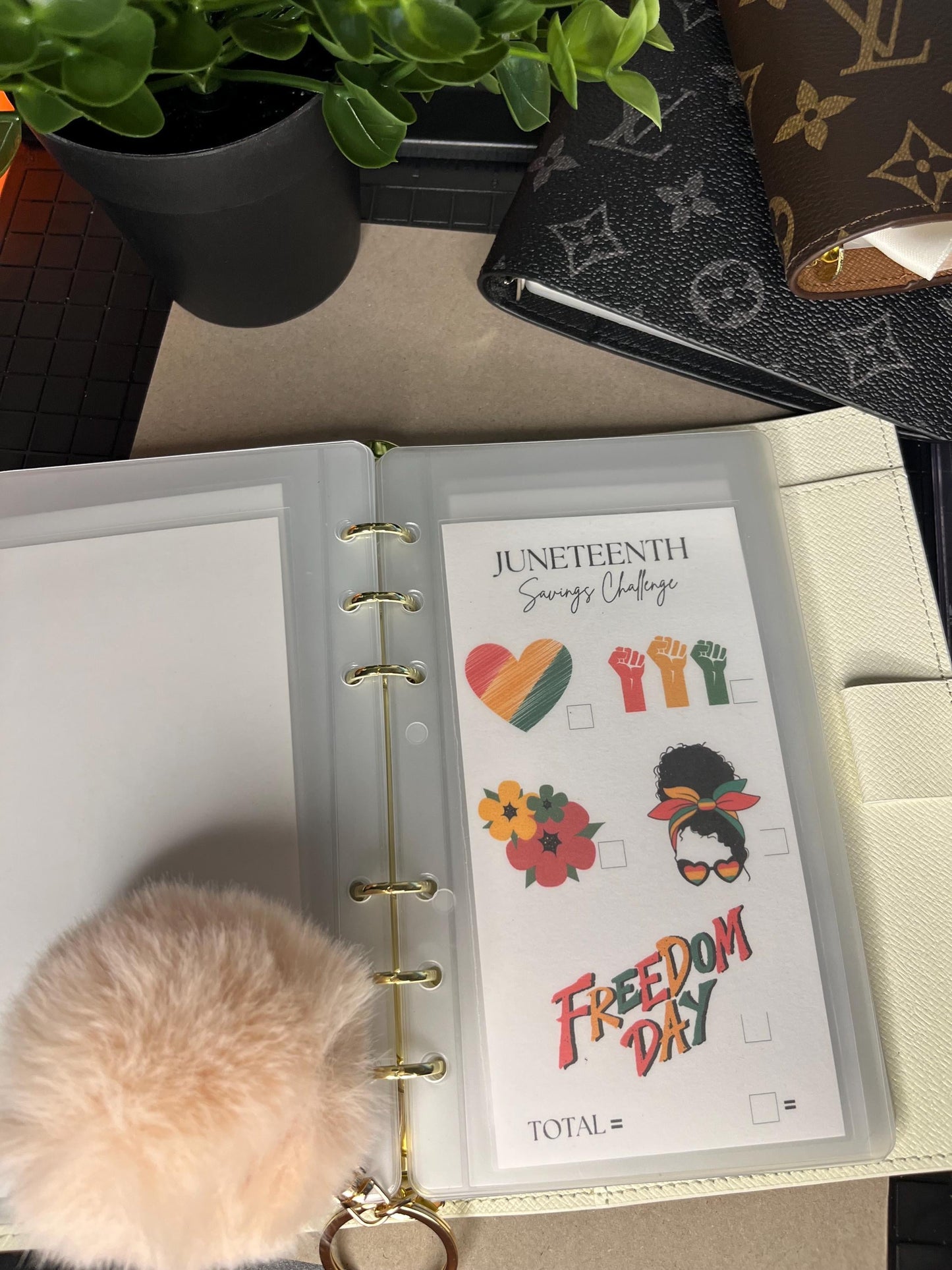 Holiday Savings Tracker- Color