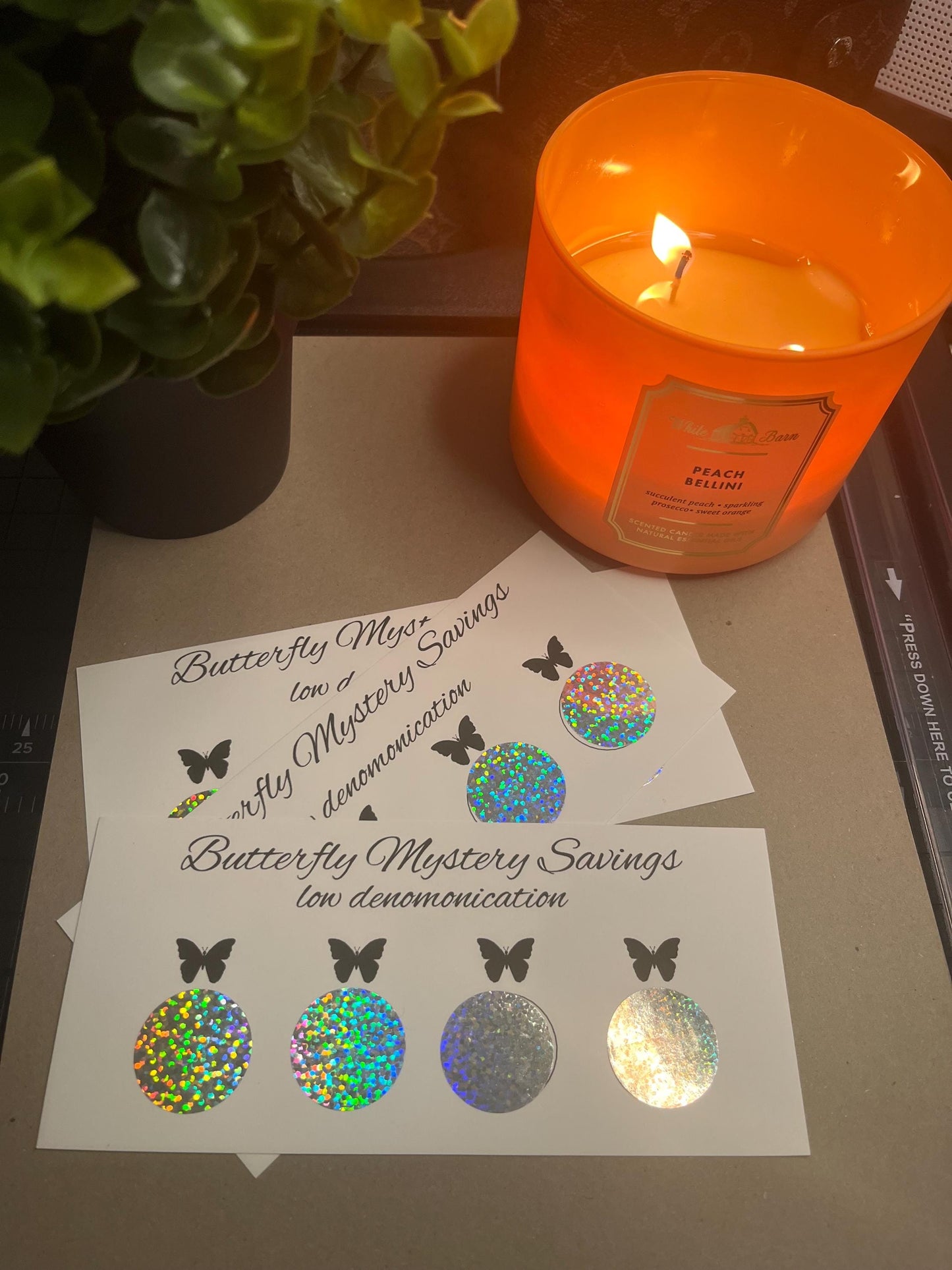 Butterfly Scratch off Savings Tracker