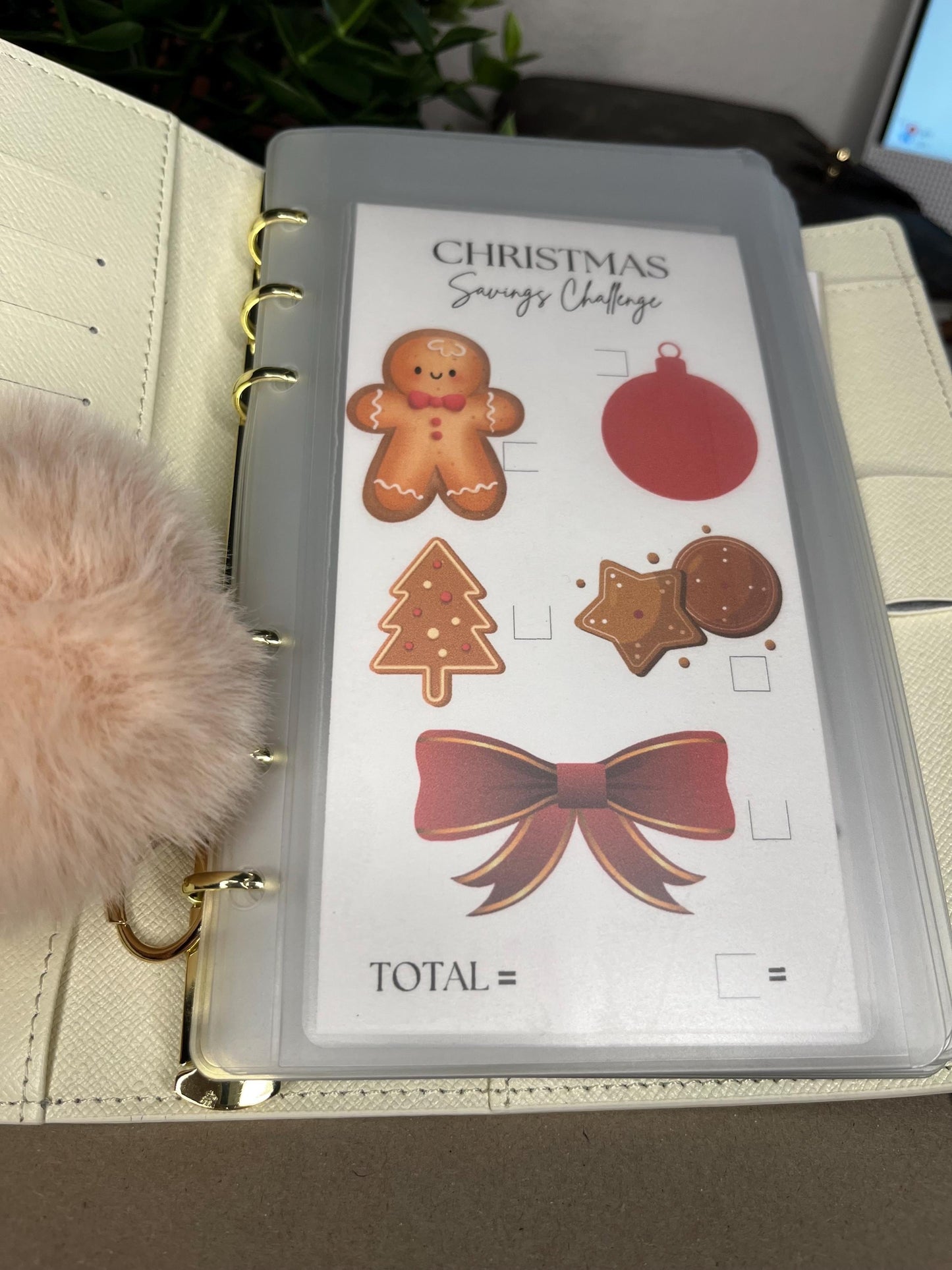 Holiday Savings Tracker- Color