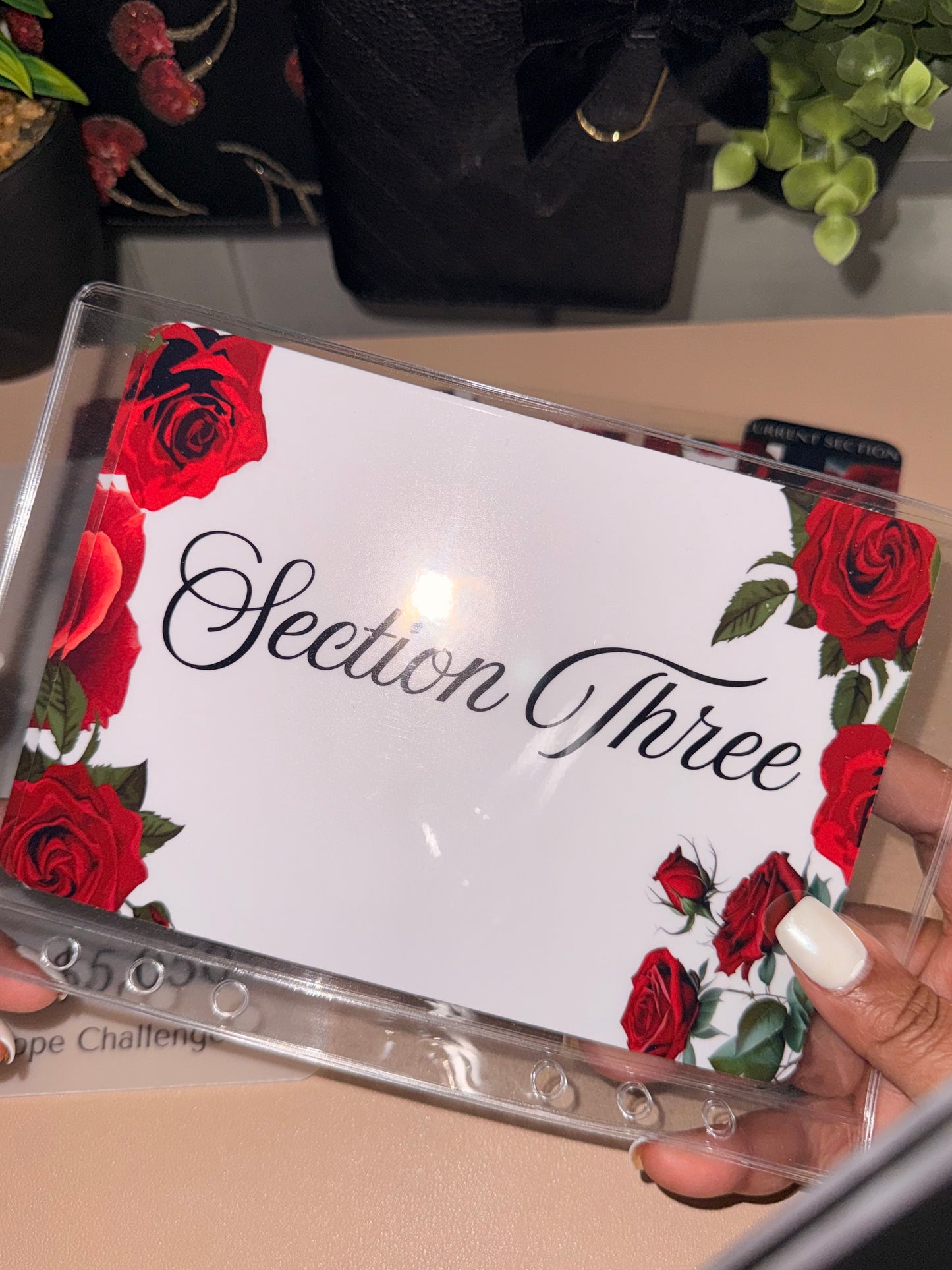 Roses 100-Step Savings Challenge (A5)-Save $5,050