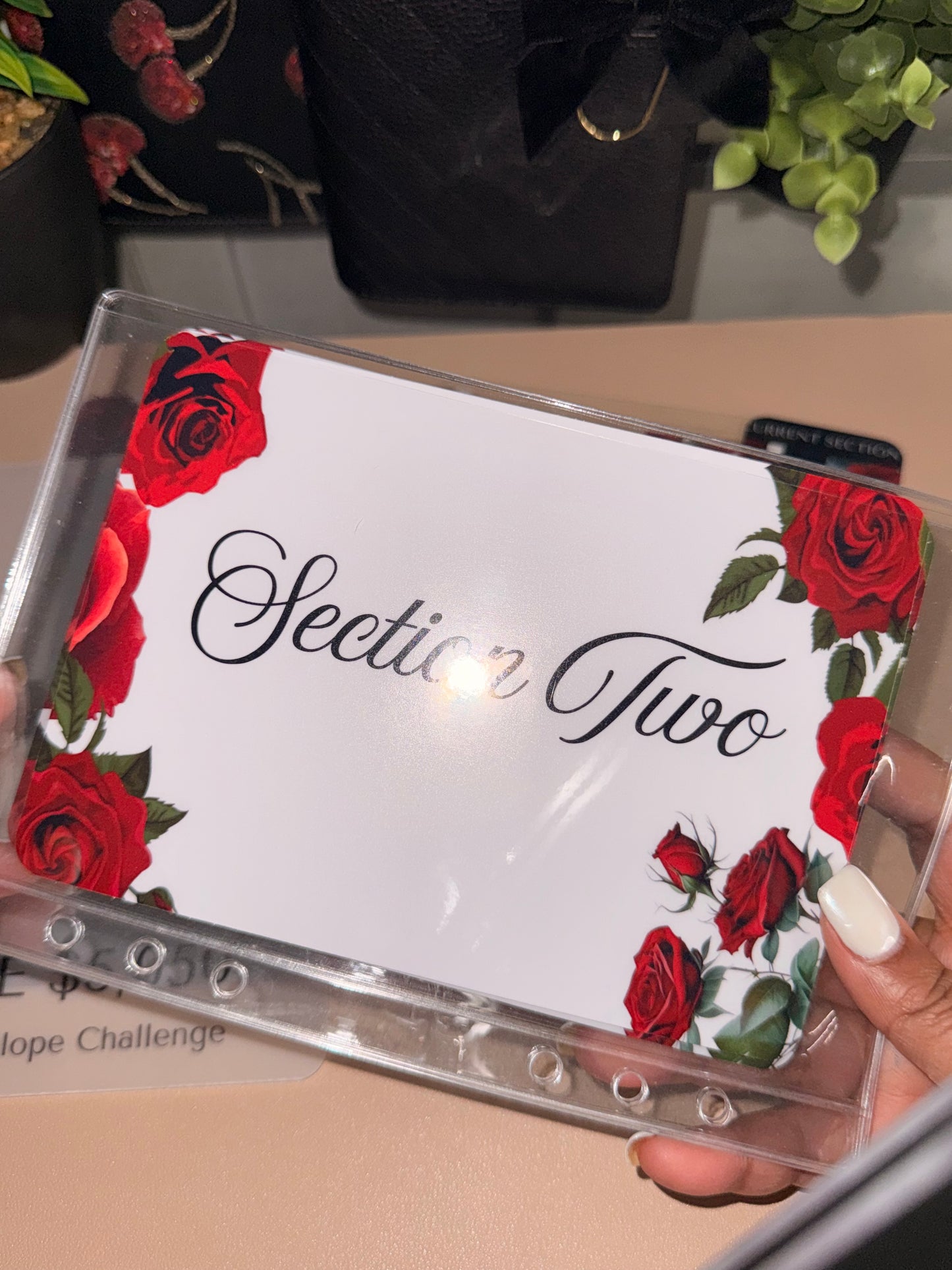 Roses 100-Step Savings Challenge (A5)-Save $5,050