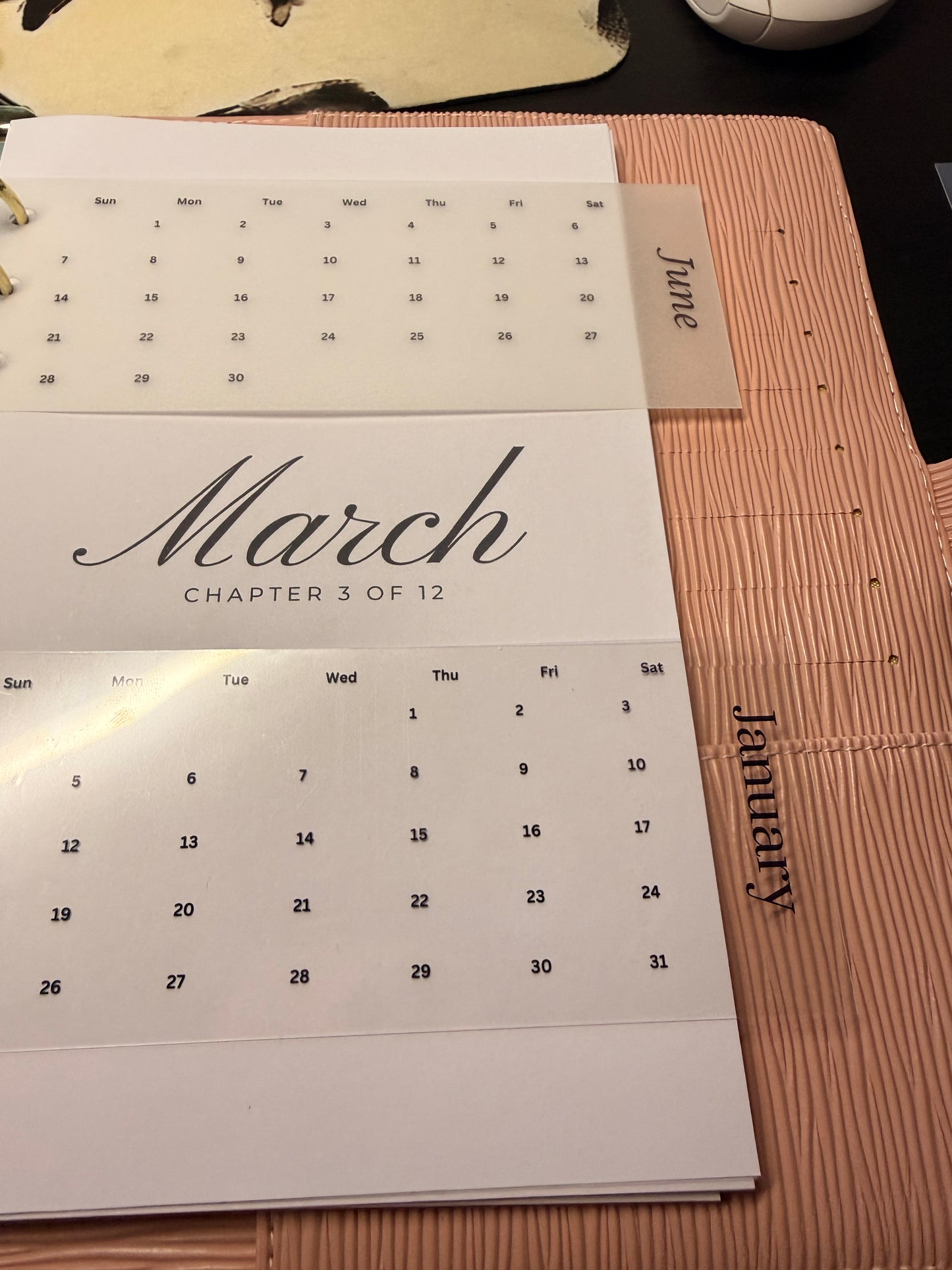 12-Month Calendar Tab Cards (Half-Punched) — Set of 12