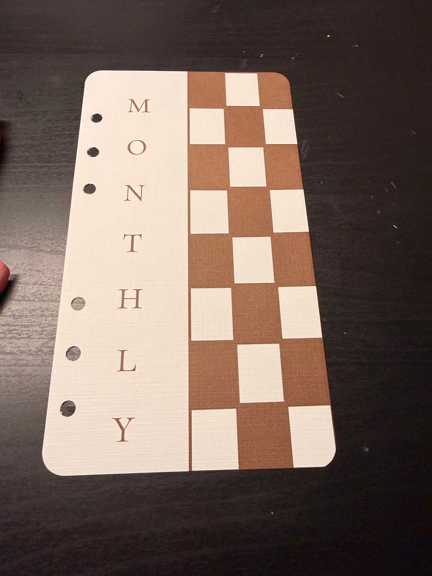 Checkered Budget Dashboard Insert | A6 Personal