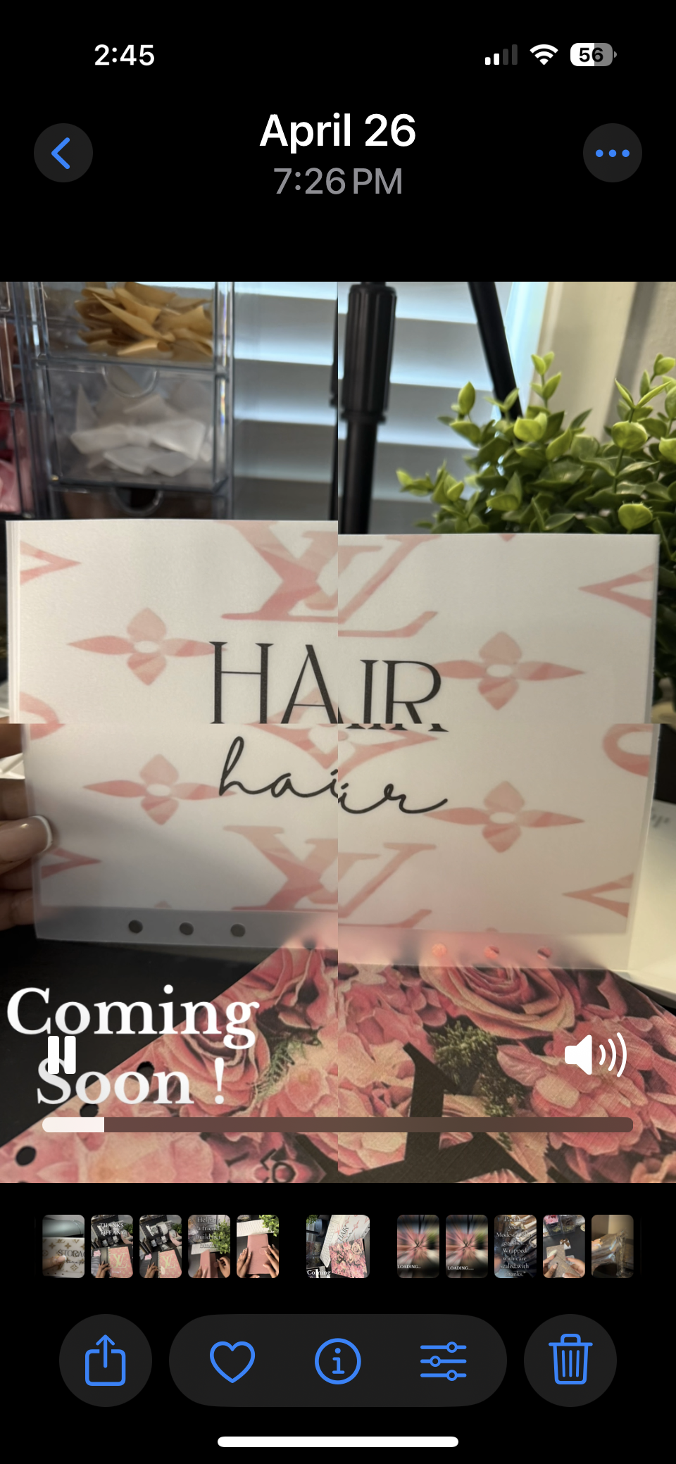 Luxe Matte Vellum Cash Envelopes -A5 Size