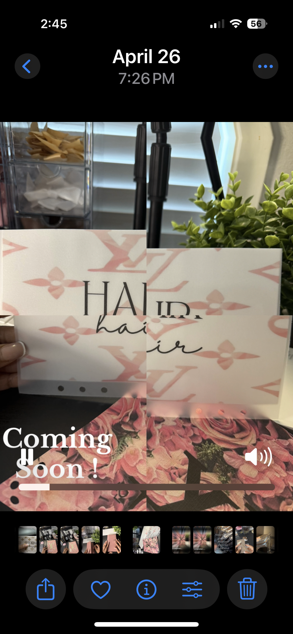 Luxe Matte Vellum Cash Envelopes -A5 Size