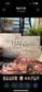 Luxe Matte Vellum Cash Envelopes -A5 Size
