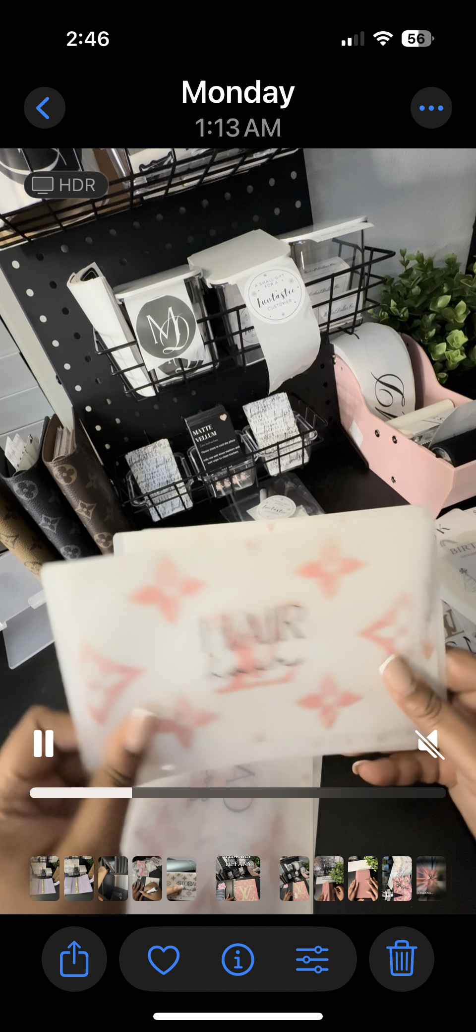 Luxe Matte Vellum Cash Envelopes -A5 Size