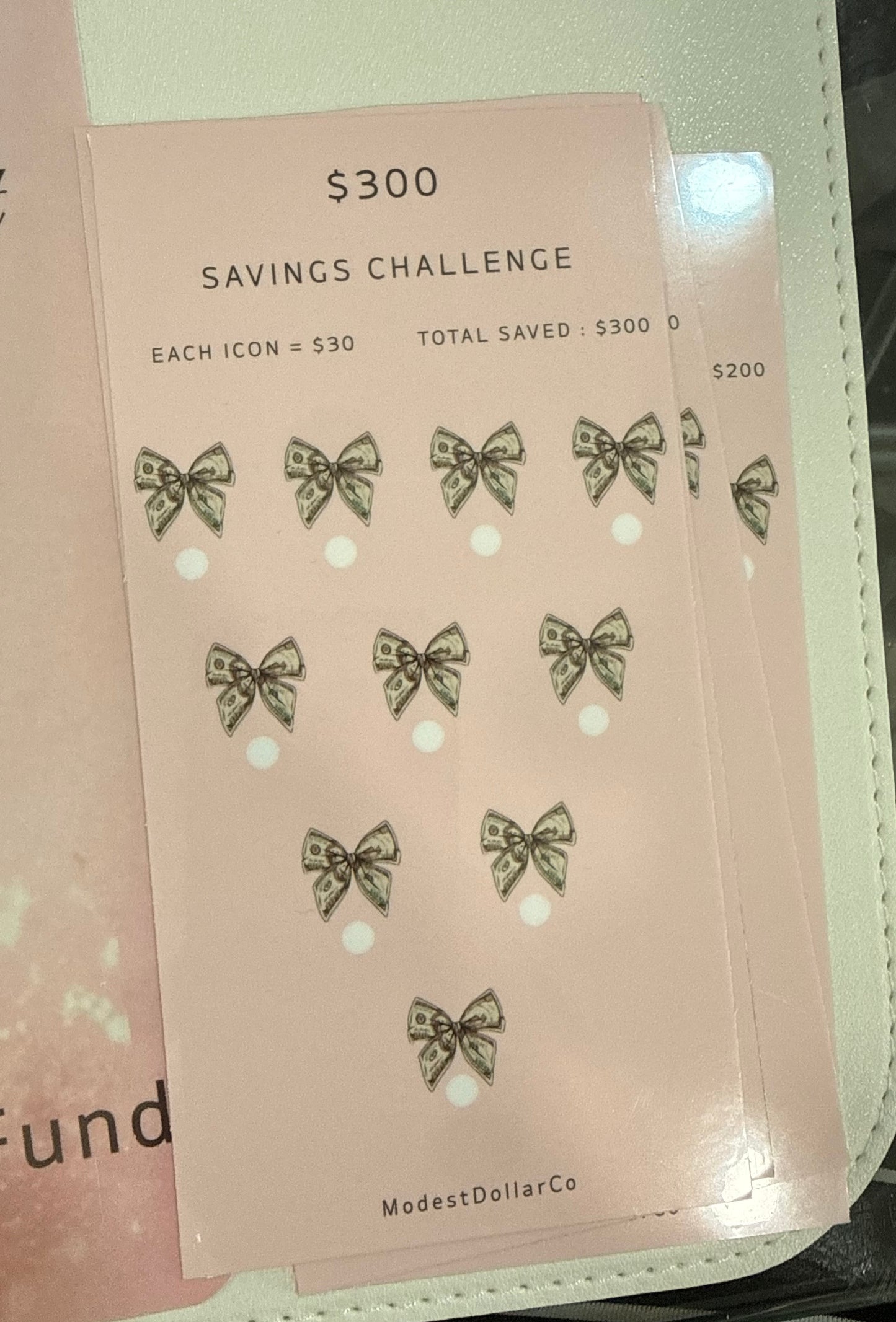 The Safety Net Challenge | $1,000 Emergency Fund Savings Challenge