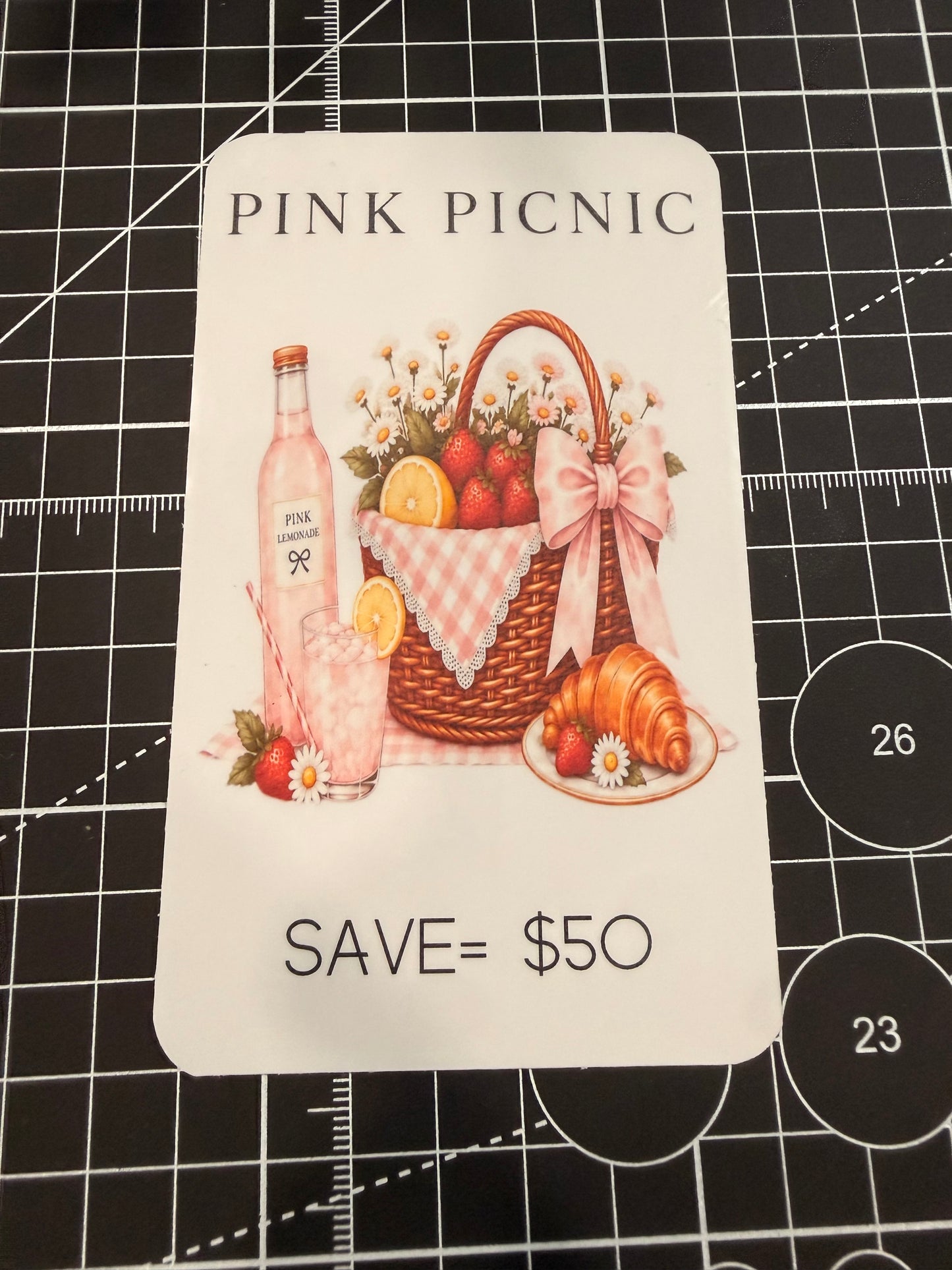 Pink Picnic Monthly Budget Bundle | Limited Edition