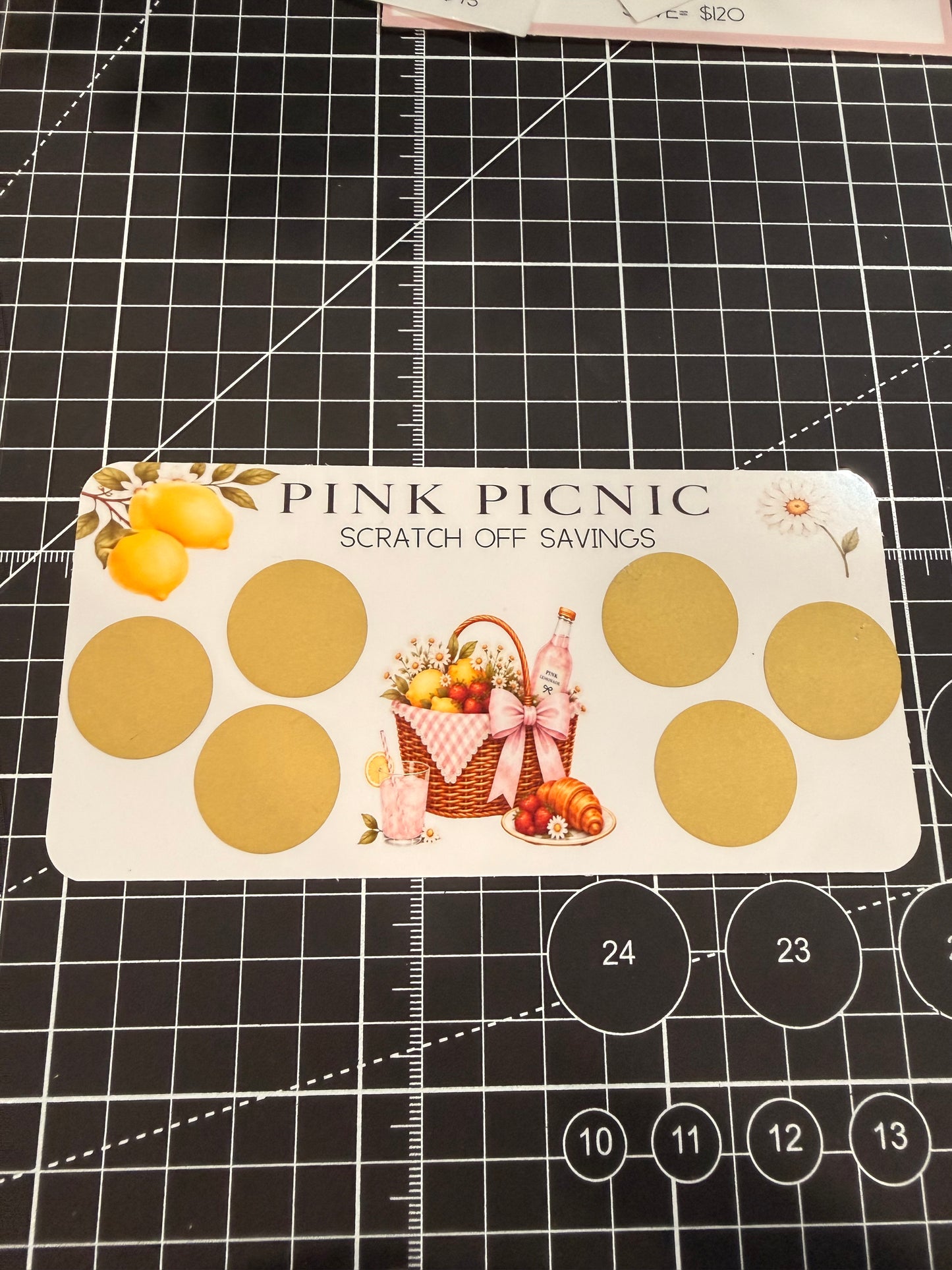 Pink Picnic Monthly Budget Bundle | Limited Edition