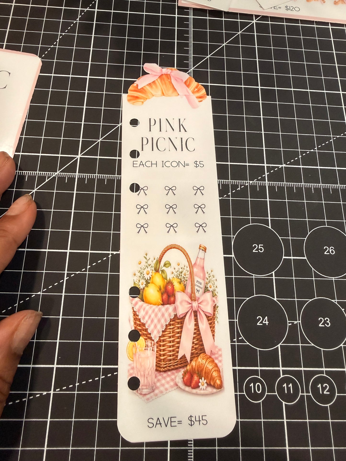Pink Picnic Monthly Budget Bundle | Limited Edition