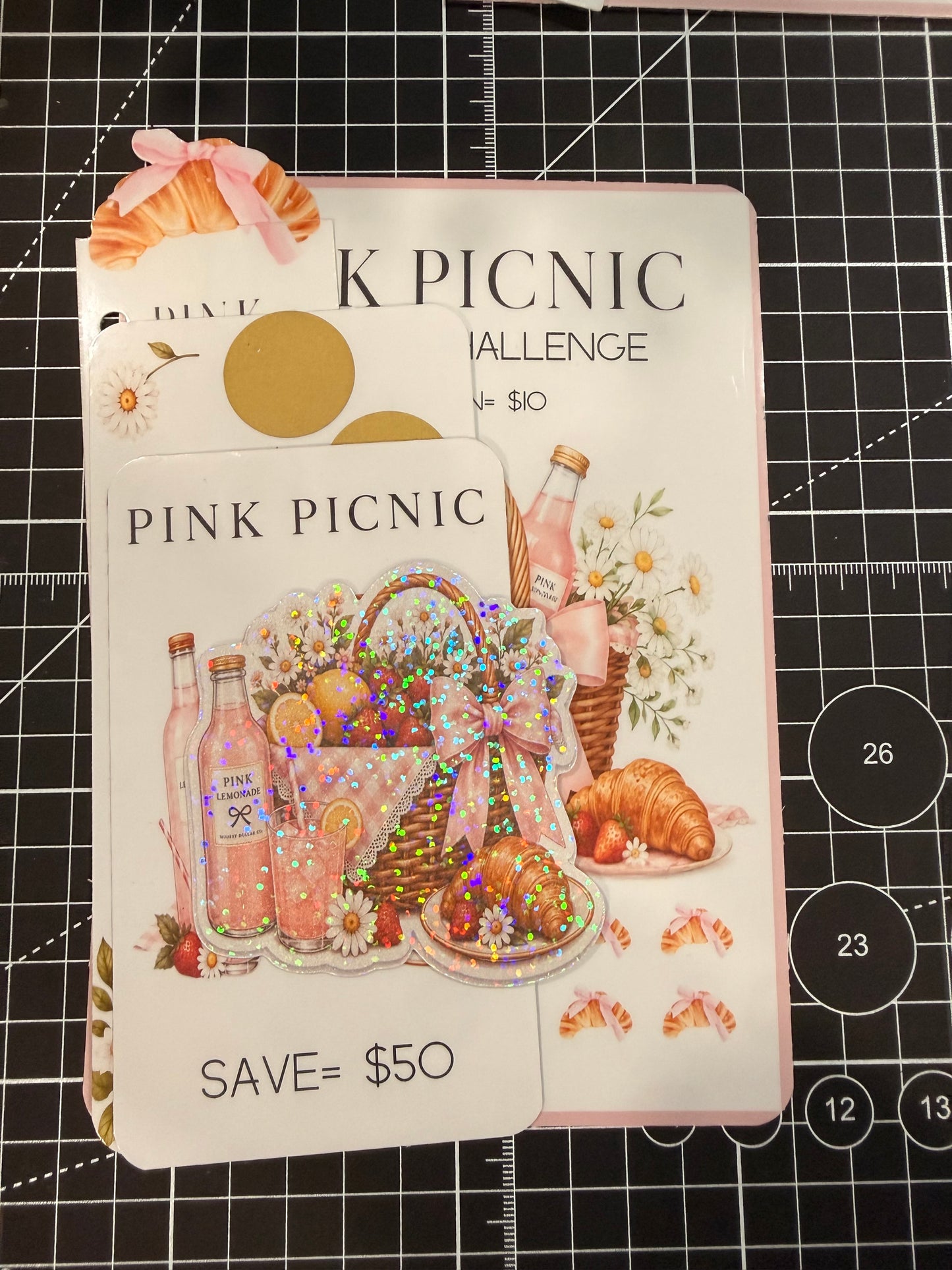 Pink Picnic Monthly Budget Bundle | Limited Edition