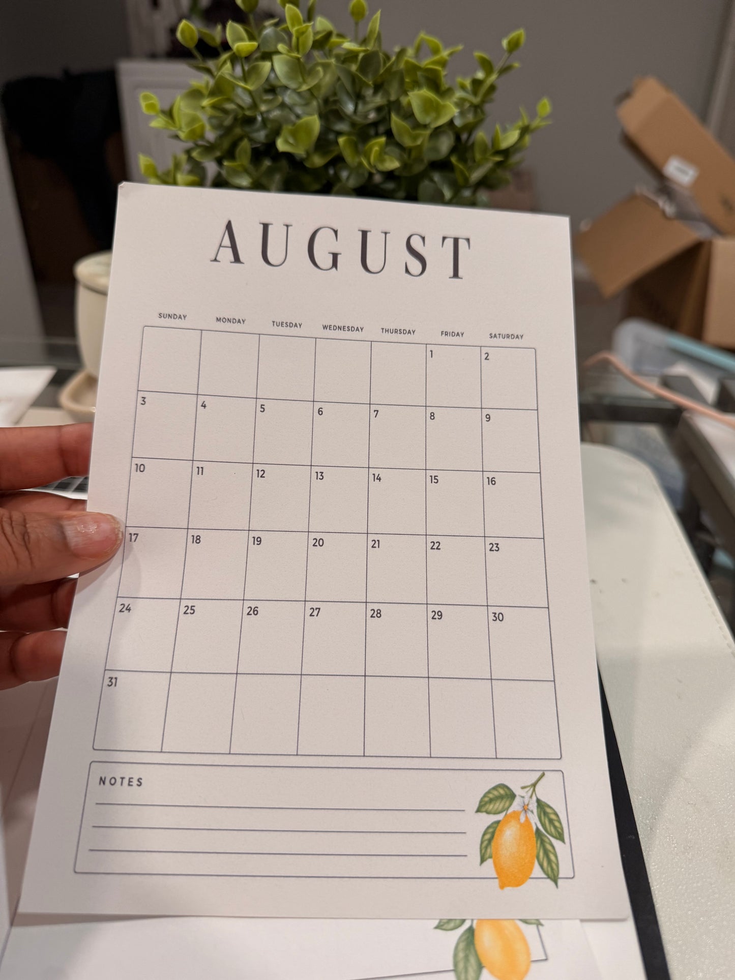 Monthly Planner Bundle | A5 Planner Inserts